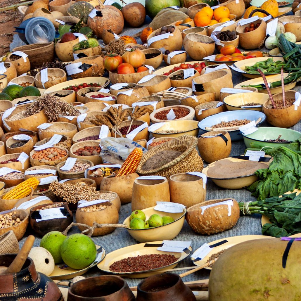 Seed, food & festivities in Zimbabwe – ABN