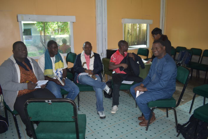 West African partners in group work